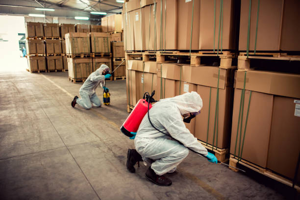 Best Wasp Removal Services  in Wlow Springs, IL