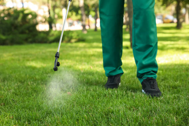 Best Mosquito Control Services  in Wlow Springs, IL