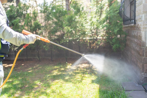 Best Rodent Control Near Me  in Wlow Springs, IL