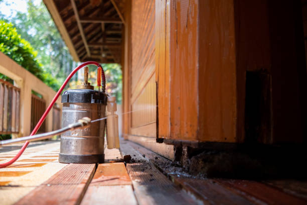 Best Affordable Pest Control Services  in Wlow Springs, IL