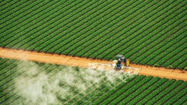 Best Mosquito Control Services  in Wlow Springs, IL