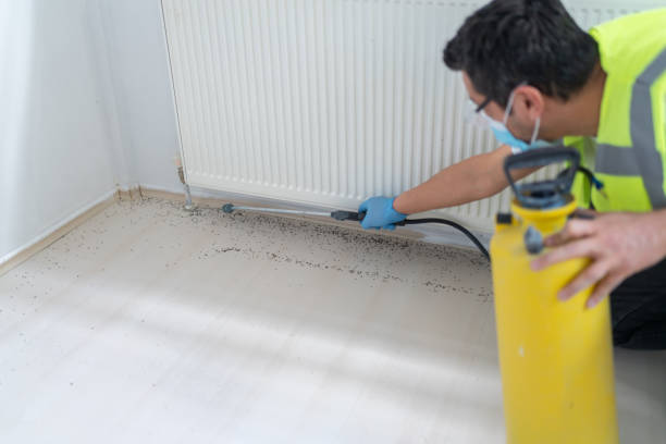 Best Emergency Pest Control  in Wlow Springs, IL
