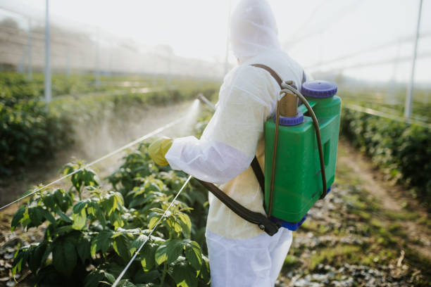 Trusted Willow Springs, IL Pest Control Experts